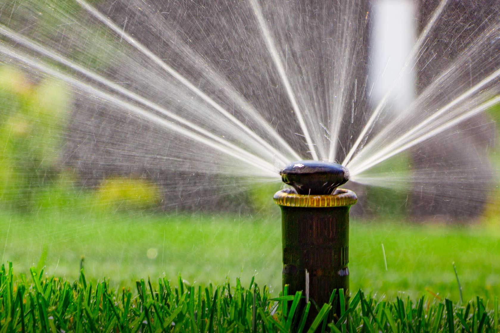 A lawn sprinkler spray out in all directions onto lush green grass